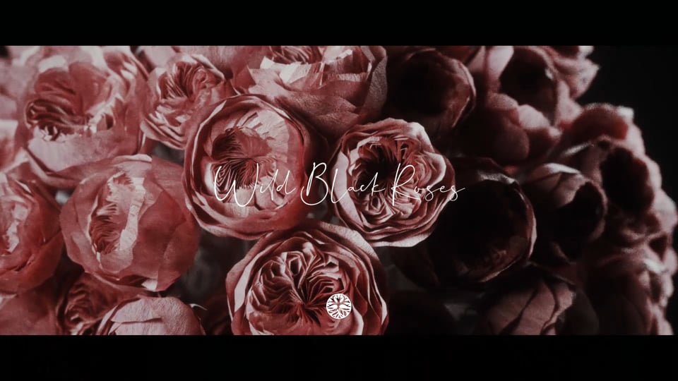 CORAL Fashion Film | Wild Black Roses | 2018